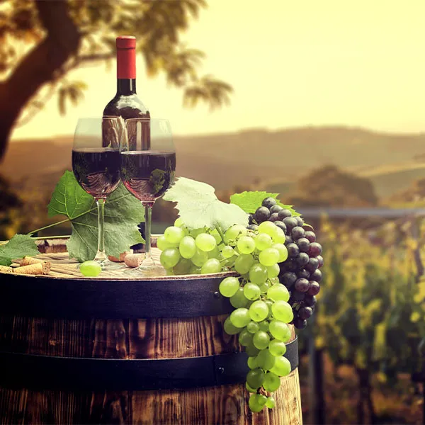 Rode wijn fles, 2wijn glazen en druiven op houten wijnvaten met zicht op wijngaard