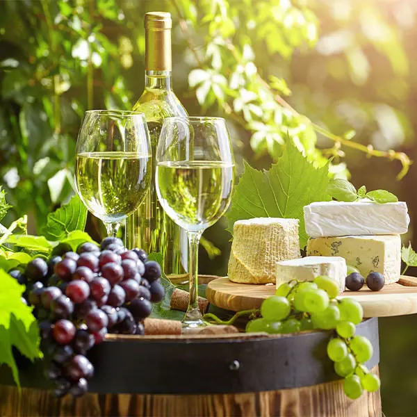 Witte wijn fles, 2 wijn glazen, druiven en kaasschotel